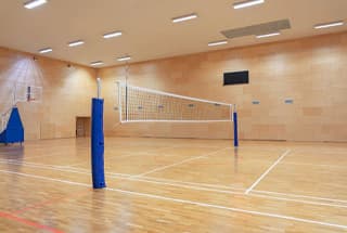 Volleyball Court